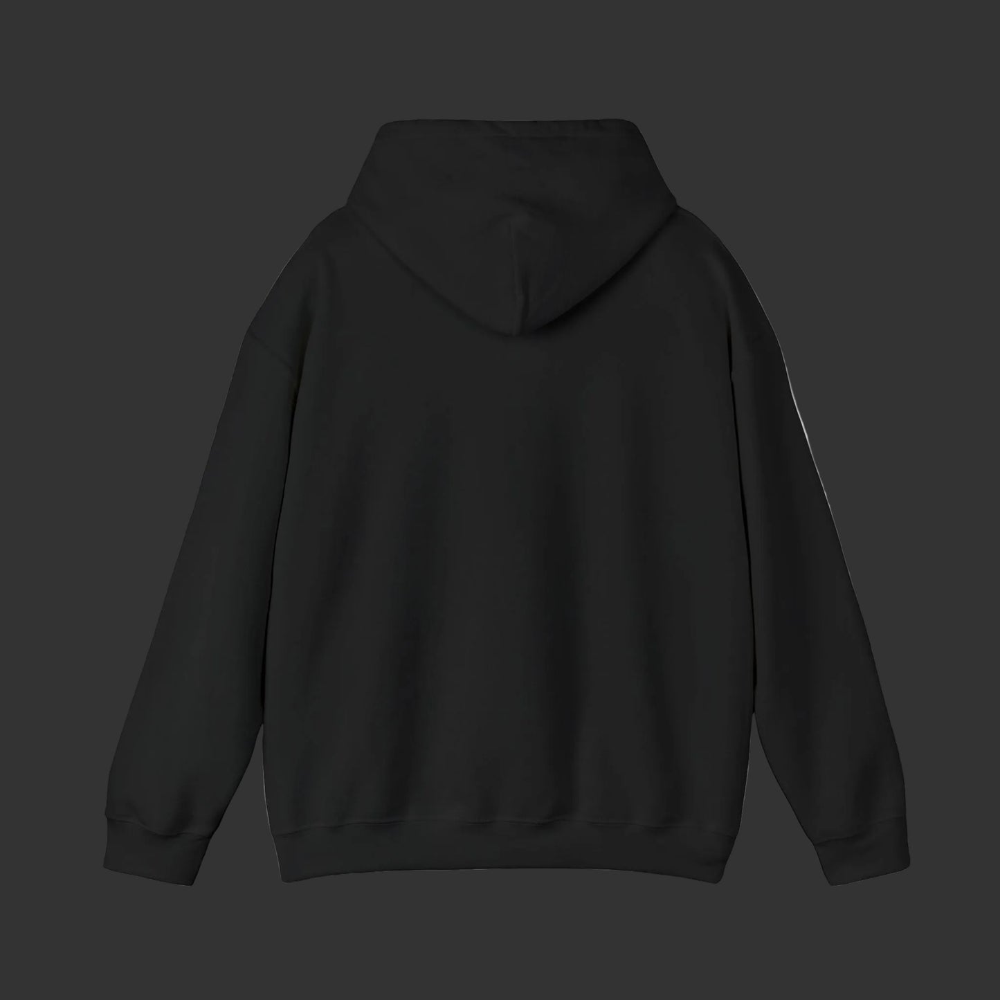 Sweat à capuche graphique